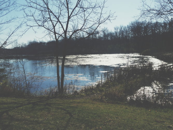 Pond Bridge