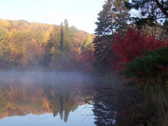 Fog resting over the St. Croix River