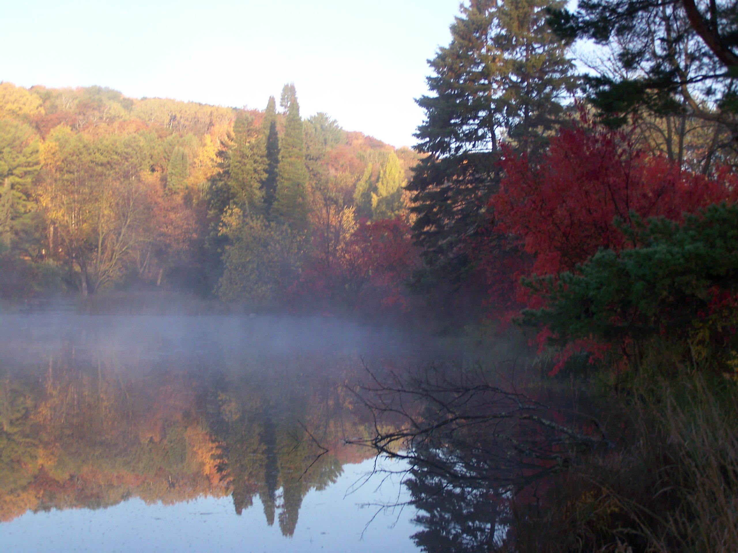 Cabin rentals: 10 great reasons for a personal retreat this summer