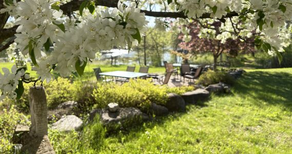 Volunteer Opportunities