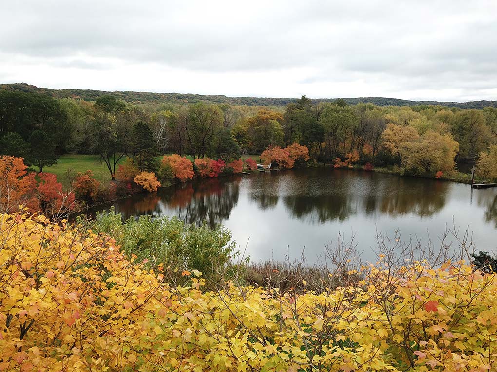 Aerial-view-of-pond-with-yellow-leaves