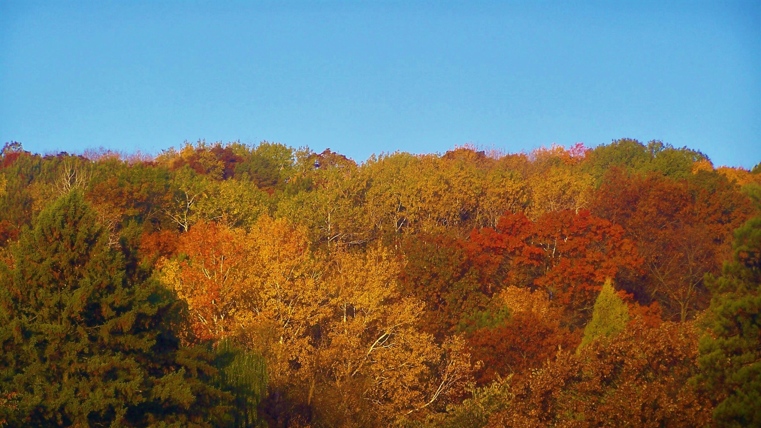 Dunrovin | Christian Brothers Retreat Center