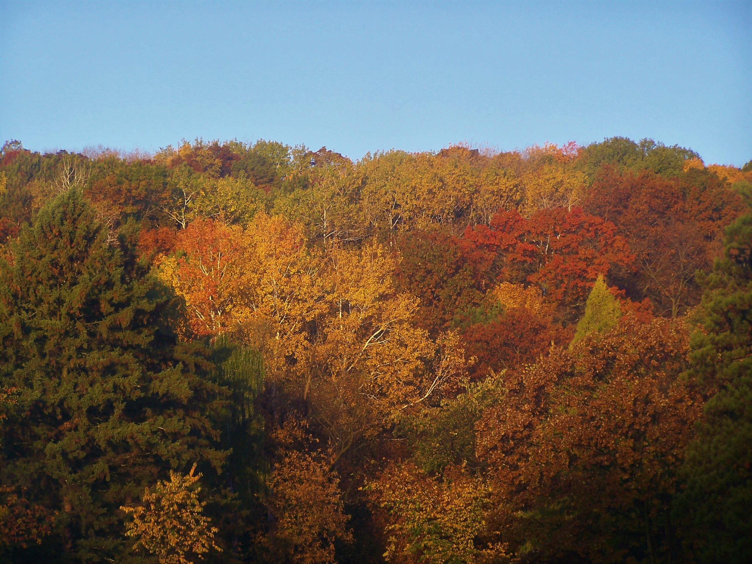 Dunrovin | Christian Brothers Retreat Center