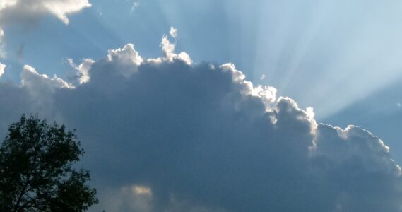 Created in the Image of God