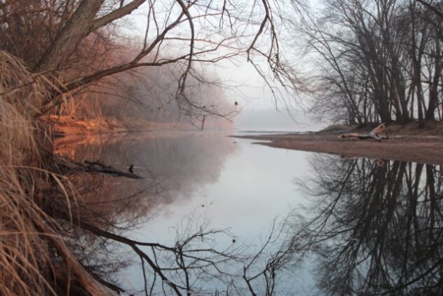 A foggy autumn morning on the river