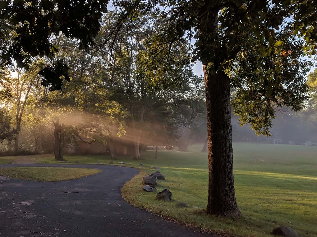 Morning-sunbeam