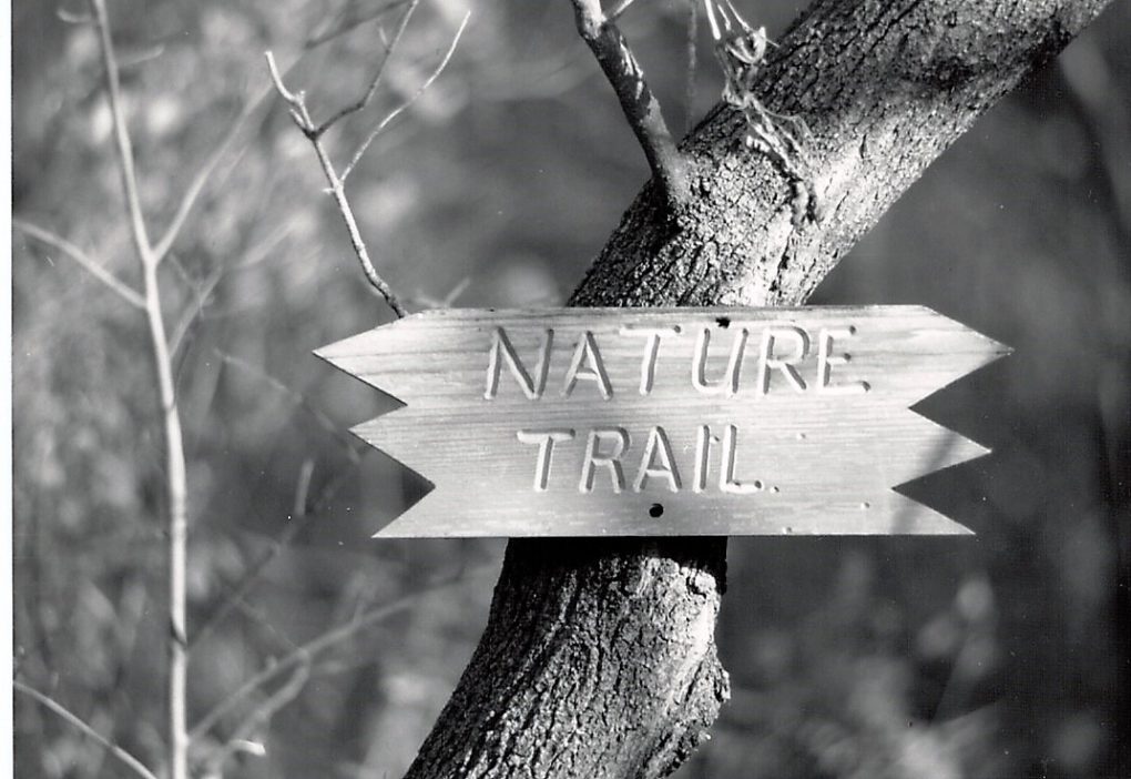 Old Nature Trail Sign
