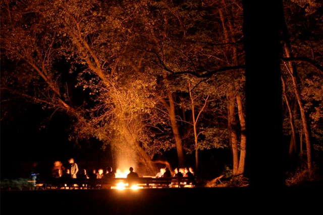 Nighttime Bonfire