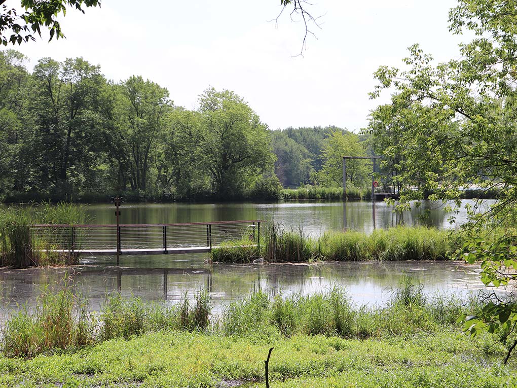 Pond-and-lower-bridge