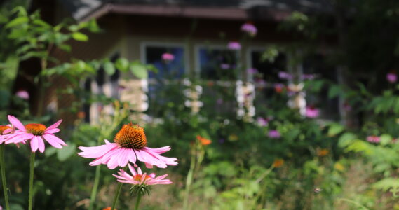 Little House on the Prairie