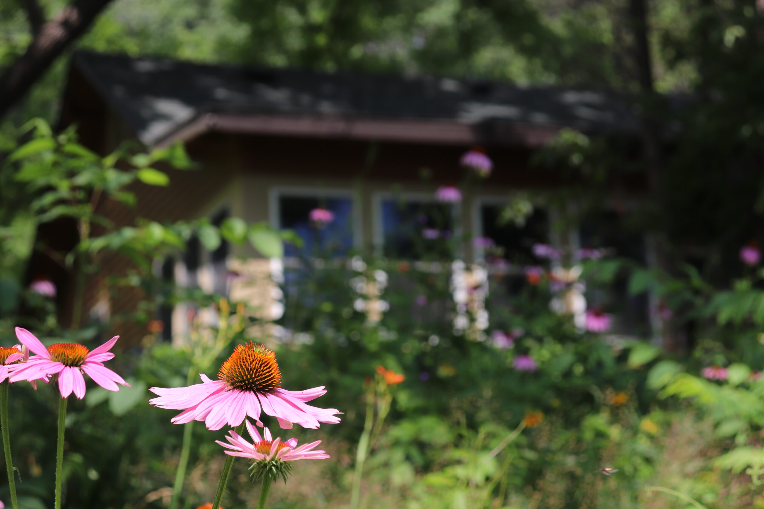 Dunrovin | Christian Brothers Retreat Center