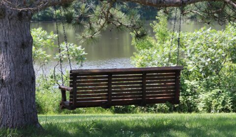 A porch swing hangs by the pond with no people on it