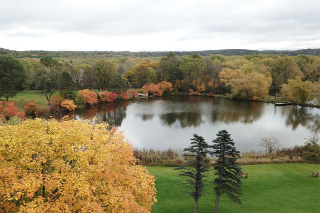 Aerial view of pond with yellow leaves - Fall Season