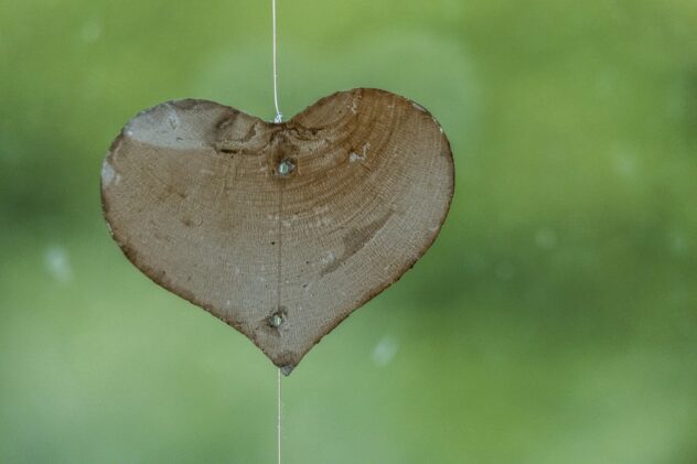 A wooden heart against a blurred green background